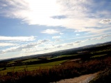 Tn IMG 1611